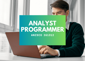 Analyst programmer
